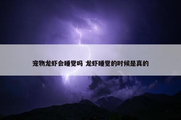 宠物龙虾会睡觉吗 龙虾睡觉的时候是真的