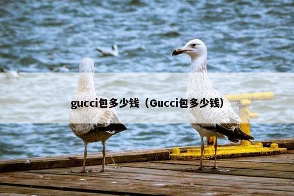 gucci包多少钱（Gucci包多少钱）