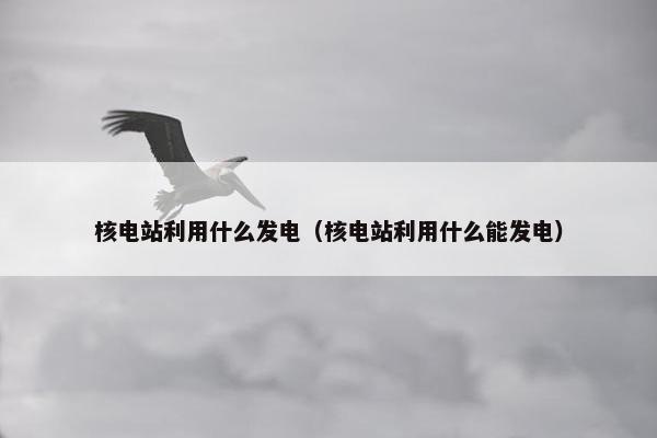 核电站利用什么发电（核电站利用什么能发电）