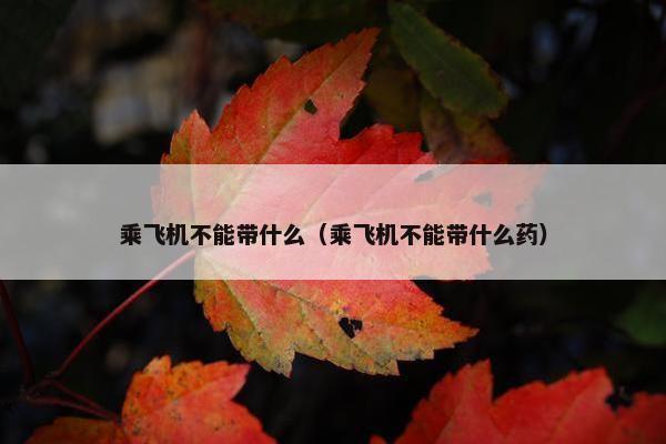 乘飞机不能带什么（乘飞机不能带什么药）