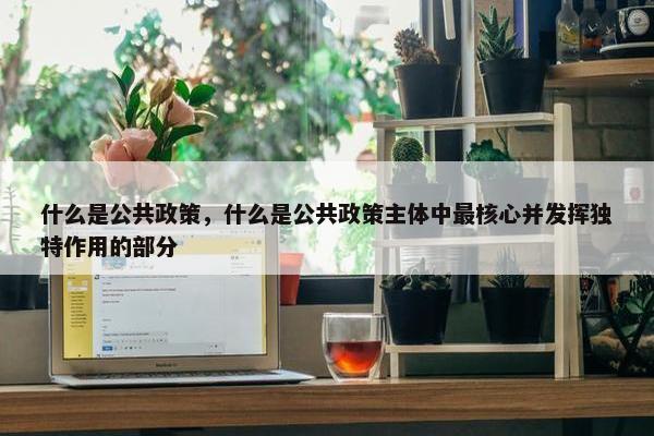 什么是公共政策，什么是公共政策主体中最核心并发挥独特作用的部分