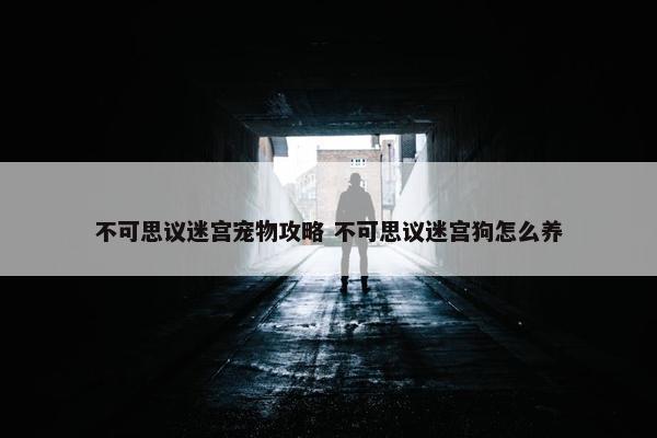 不可思议迷宫宠物攻略 不可思议迷宫狗怎么养