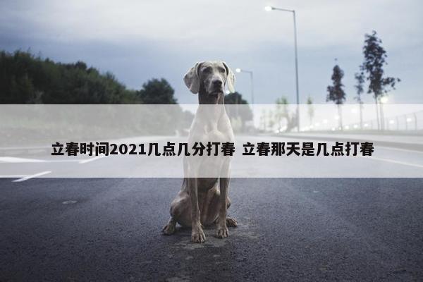 立春时间2021几点几分打春 立春那天是几点打春