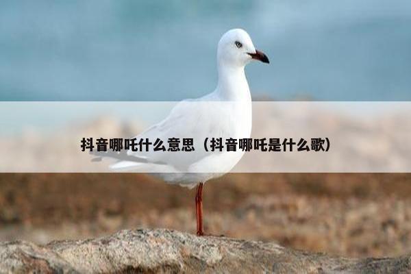 抖音哪吒什么意思（抖音哪吒是什么歌）