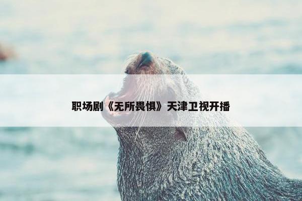 职场剧《无所畏惧》天津卫视开播