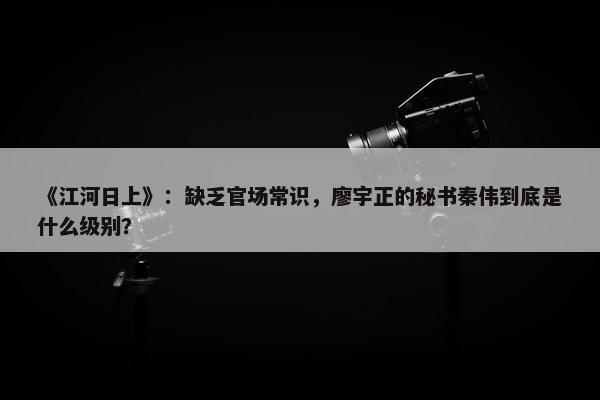 《江河日上》：缺乏官场常识，廖宇正的秘书秦伟到底是什么级别？