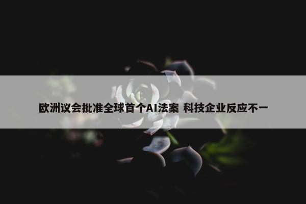 欧洲议会批准全球首个AI法案 科技企业反应不一