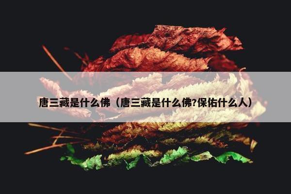 唐三藏是什么佛（唐三藏是什么佛?保佑什么人）