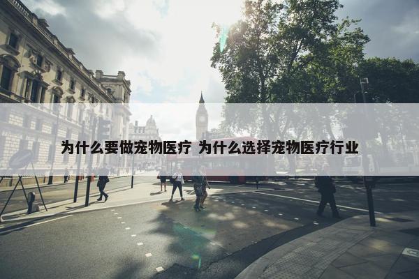 为什么要做宠物医疗 为什么选择宠物医疗行业