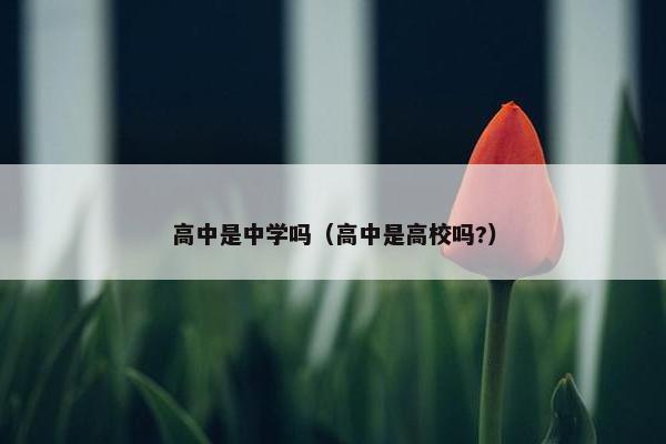 高中是中学吗（高中是高校吗?）