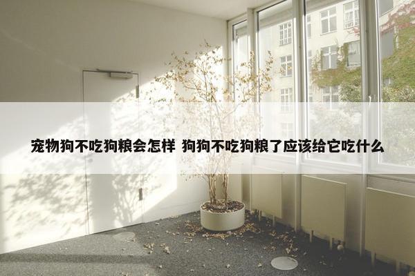 宠物狗不吃狗粮会怎样 狗狗不吃狗粮了应该给它吃什么