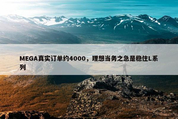 MEGA真实订单约4000，理想当务之急是稳住L系列