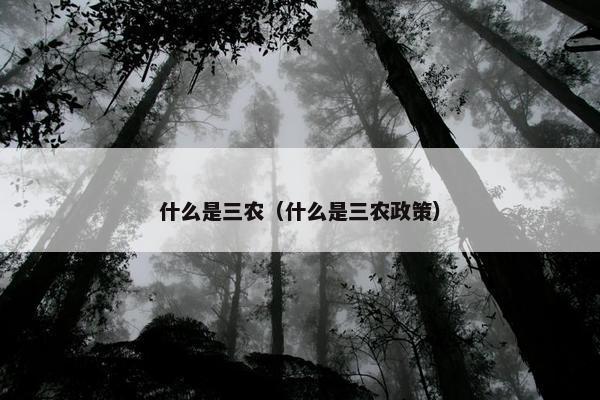 什么是三农（什么是三农政策）