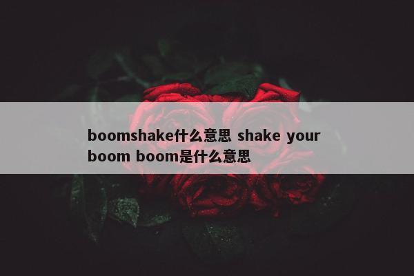 boomshake什么意思 shake your boom boom是什么意思