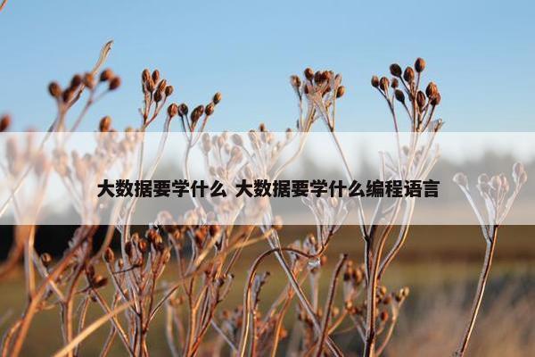 大数据要学什么 大数据要学什么编程语言