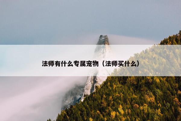 法师有什么专属宠物（法师买什么）