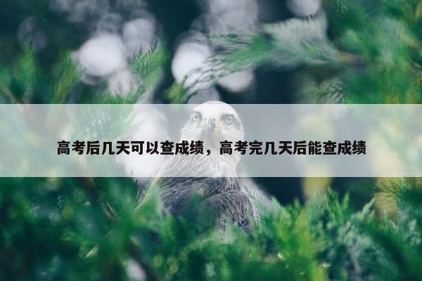 高考后几天可以查成绩，高考完几天后能查成绩