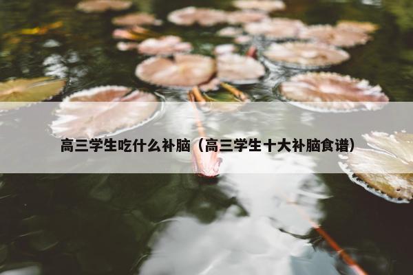 高三学生吃什么补脑（高三学生十大补脑食谱）