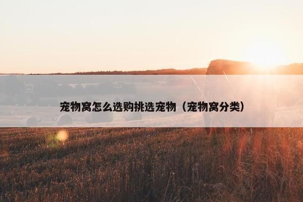 宠物窝怎么选购挑选宠物（宠物窝分类）