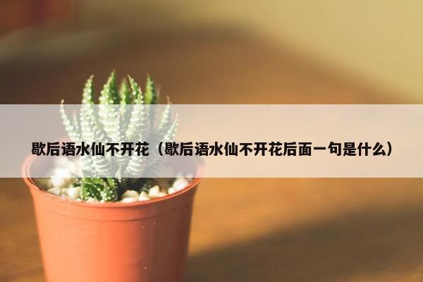 歇后语水仙不开花（歇后语水仙不开花后面一句是什么）