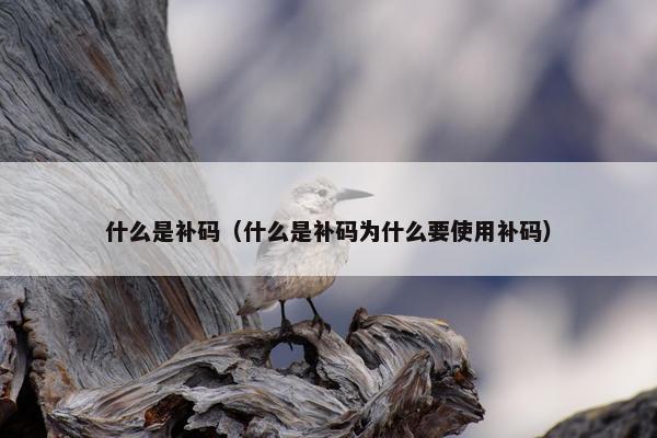 什么是补码（什么是补码为什么要使用补码）