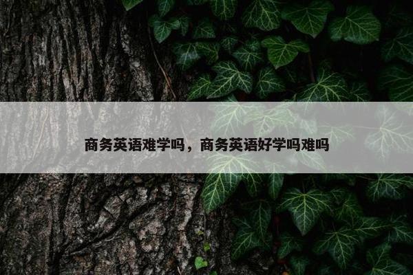 商务英语难学吗，商务英语好学吗难吗