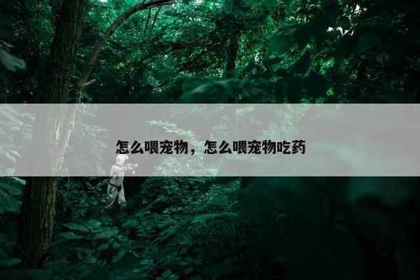 怎么喂宠物，怎么喂宠物吃药