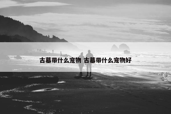 古墓带什么宠物 古墓带什么宠物好