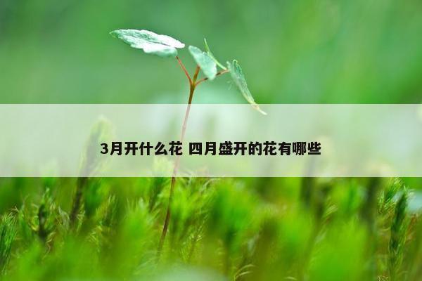 3月开什么花 四月盛开的花有哪些