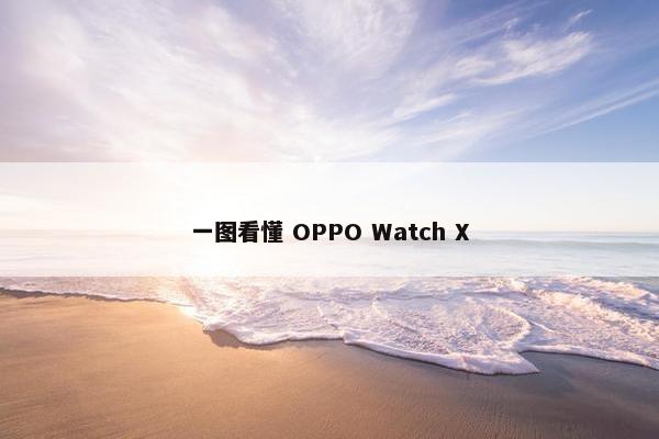 一图看懂 OPPO Watch X