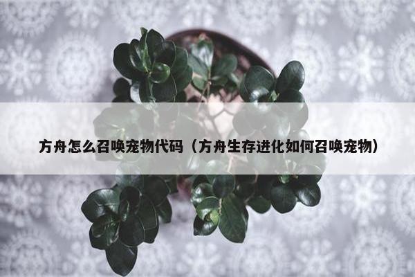 方舟怎么召唤宠物代码（方舟生存进化如何召唤宠物）