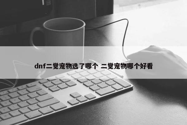 dnf二觉宠物选了哪个 二觉宠物哪个好看