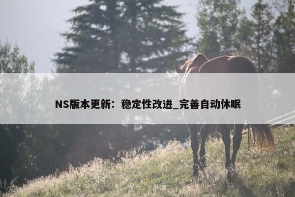 NS版本更新：稳定性改进_完善自动休眠