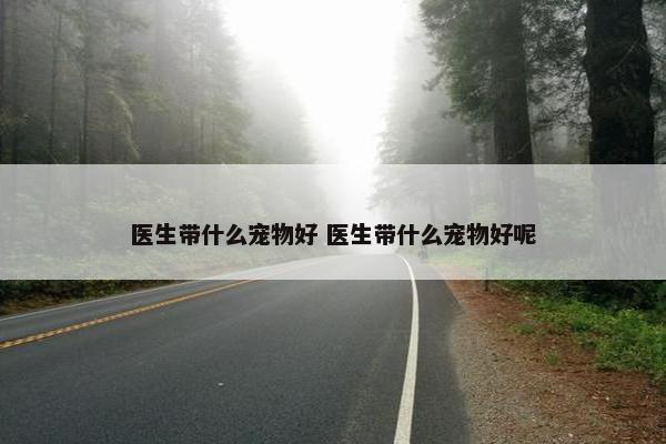 医生带什么宠物好 医生带什么宠物好呢