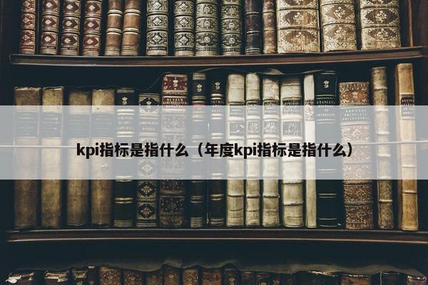 kpi指标是指什么（年度kpi指标是指什么）