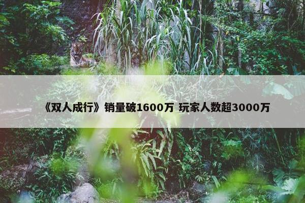 《双人成行》销量破1600万 玩家人数超3000万