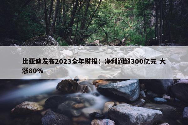 比亚迪发布2023全年财报：净利润超300亿元 大涨80%