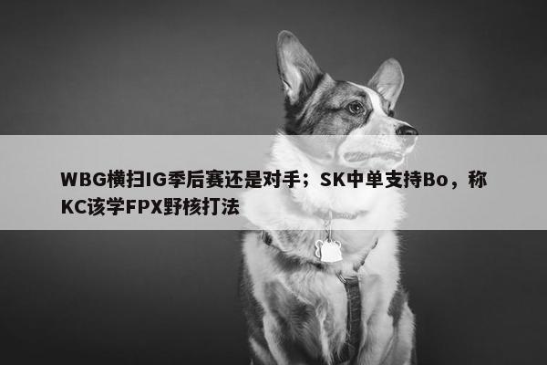 WBG横扫IG季后赛还是对手；SK中单支持Bo，称KC该学FPX野核打法