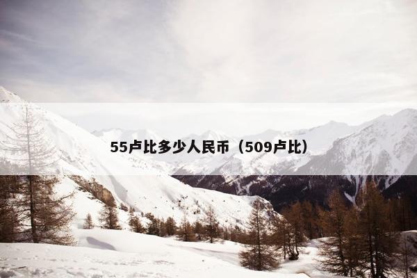 55卢比多少人民币（509卢比）