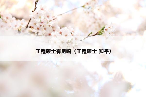 工程硕士有用吗（工程硕士 知乎）