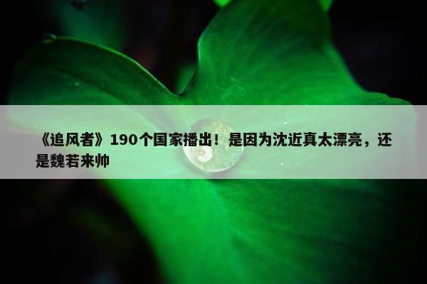 《追风者》190个国家播出！是因为沈近真太漂亮，还是魏若来帅