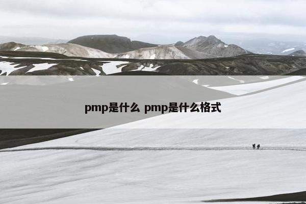 pmp是什么 pmp是什么格式