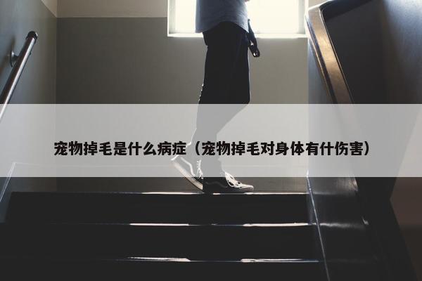 宠物掉毛是什么病症（宠物掉毛对身体有什伤害）