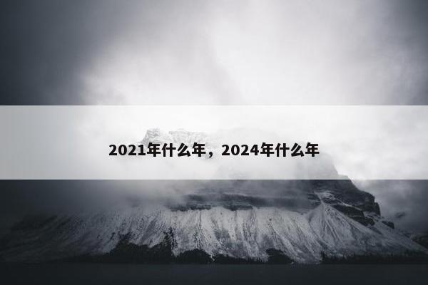 2021年什么年，2024年什么年