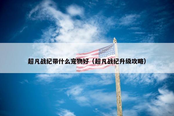 超凡战纪带什么宠物好（超凡战纪升级攻略）