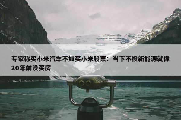 专家称买小米汽车不如买小米股票：当下不投新能源就像20年前没买房