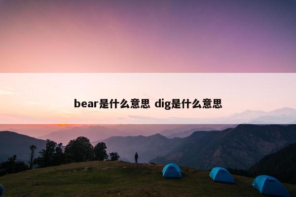 bear是什么意思 dig是什么意思