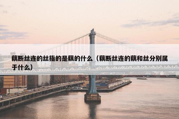 藕断丝连的丝指的是藕的什么（藕断丝连的藕和丝分别属于什么）