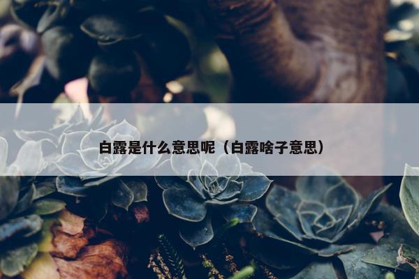 白露是什么意思呢（白露啥子意思）