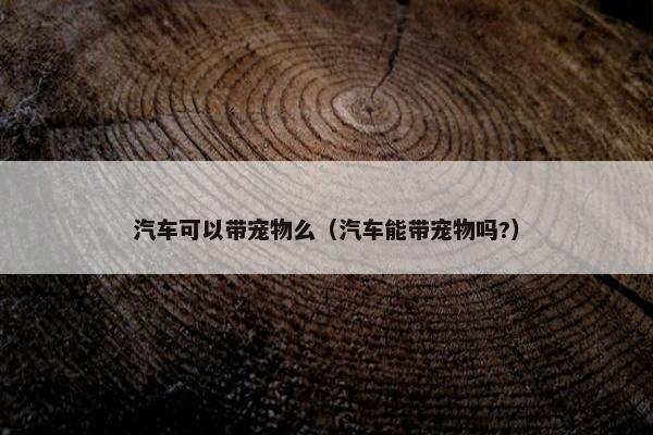 汽车可以带宠物么（汽车能带宠物吗?）